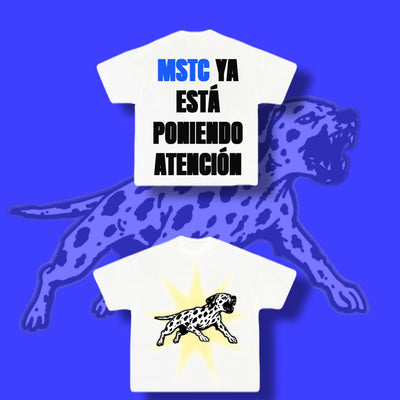 NSQK ESTAS PONIENDO ATENCION TEE (CUSTOM)