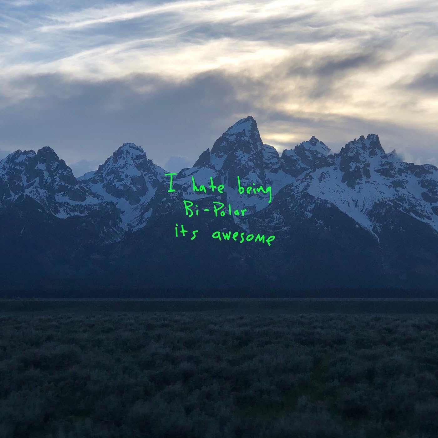 YE Vinyl