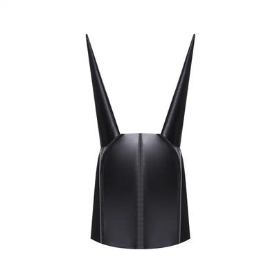 CARTI DUNCE HAT