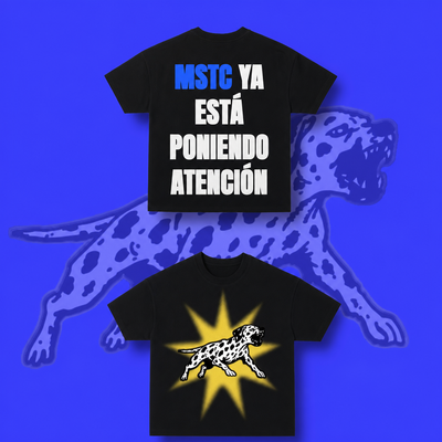 NSQK ESTAS PONIENDO ATENCION TEE (CUSTOM)